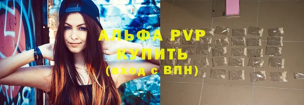 спиды Богородск